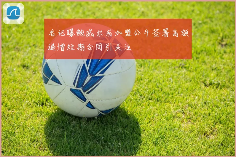 名记曝鲍威尔或加盟公牛签署高额递增短期合同引关注